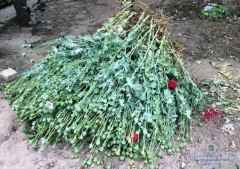 У рецидивиста полиция "собрала урожай" мака и конопли (фото)