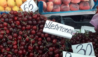 Почем мелитопольскую черешню в Ивано-Франковске продают