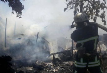 Под Бердянском в пожаре погибли домашние животные (фото)