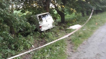 Смертельное ДТП под Киевом: авто с детьми врезалось в дерево (фото)