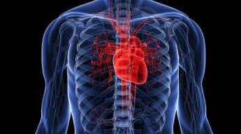 Кардиологи назвали пять привычек, которые способны ослабить сердце
