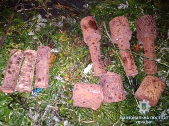 Во дворе частного дома в Житомирской области взорвался боеприпас времен Второй мировой войны
