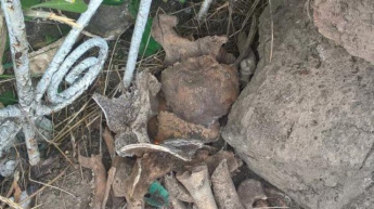 В Николаеве среди мусора нашли останки людей (фото)