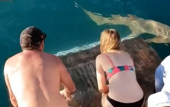Акула попыталась утащить кормившую ее женщину