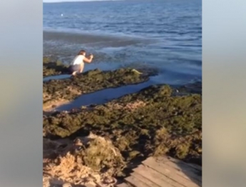 В Бердянске пляжи завалило водорослями (Видео)