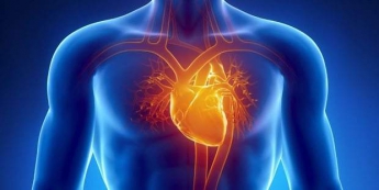 Скорая сердечная помощь: самые полезные продукты для "мотора" человека (видео)