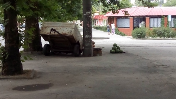 Настырный торговец арбузами оккупировал тротуар (фото)