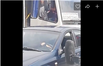 В пригородной маршрутке водитель избил пассажира (видео)