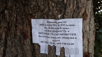 Приемщики металла обклеили столбы и деревья своей рекламой (фото)