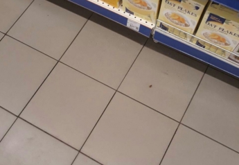 Тараканы атаковали популярный супермаркет (фото)