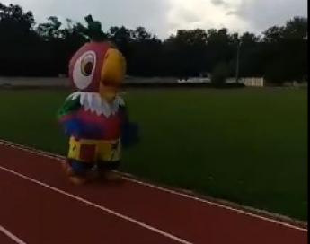 Курьезы. В Мелитополе попугай устроил забег по стадиону (видео)