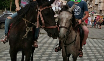В Мелитополе искали лошадь (фото)