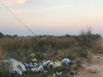 В Кирилловке Федотова коса утопает в мусоре и грязи (фото)