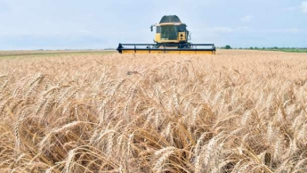Украина резко сократила экспорт зерна