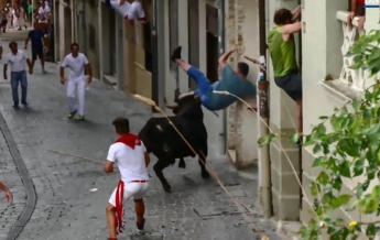 Нападение быка на мужчину(фото)
