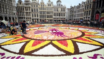 В Брюсселе стартовал фестиваль Ковер из цветов (фото)