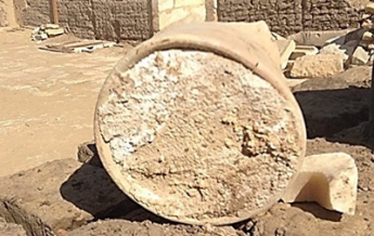 Химики изучили древнейший в мире сыр из египетской гробницы