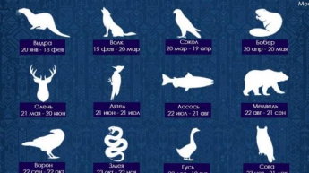 Horoscope of the ancient Indians: discover your zodiac sign