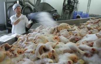 Украина вошла в тройку лидеров по поставкам курятины в страны ЕС