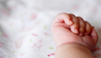 В Тернополі на "Дружбі" діти знайшли пошматоване тіло немовляти