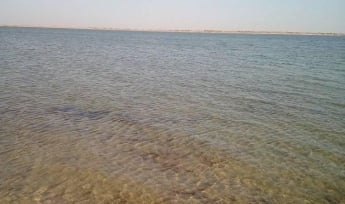 Лиман начал наполняться водой (фото)