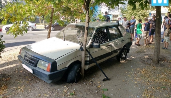 В Запорожской области машина без хозяина на огромной скорости врезалась в дерево (ВИДЕО)