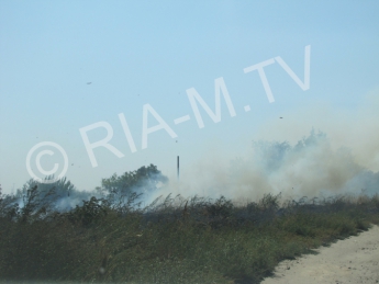 В Мелитополе нижняя часть города из-за масштабного пожара окутана дымом (видео)