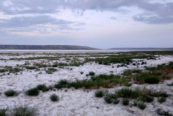 Курорт под Одессой превращается в соляную пустыню (фото)