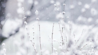 Стало известно, когда в Украине выпадет первый снег