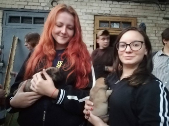 Опубликовано видео чудесного спасения щенков во дворе мелитопольской многоэтажки