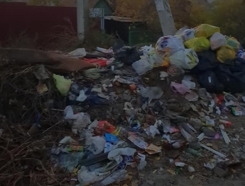 В Умвельте рассказали, кто мусорную свалку посреди улицы организовал