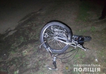 В Запорожской области мужчина и мальчик погибли в жутком ДТП (Фото)