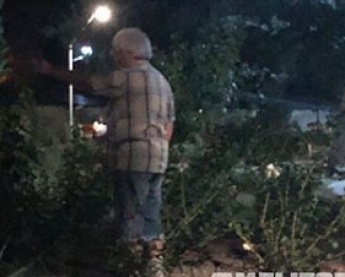 Пожилой мужчина ради дамы обнес клумбу в мелитопольском парке (фото)