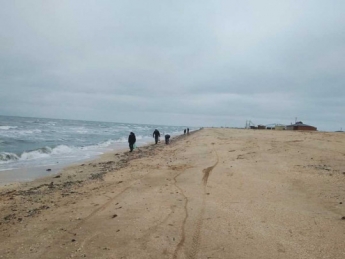 На пляжи Арабатской Стрелки выбросило большое количество раков (фото)