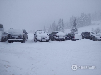 Прикарпатье завалило 1,2 м снега: детали и новые фото и видео "апокалипсиса"