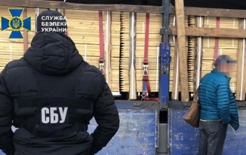 Из Киева пытались контрабандой вывезти древесину на $200 тыс - СБУ (фото)