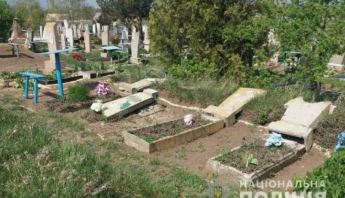В Запорожской области на кладбище разбили десятки памятников (ФОТО)