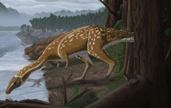 Археологи нашли останки редчайшего динозавра