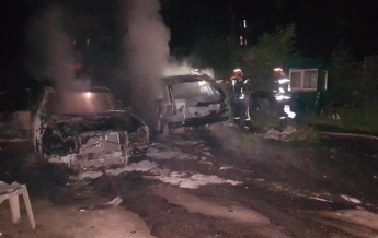 В Киеве пожар уничтожил два автомобиля (фото)
