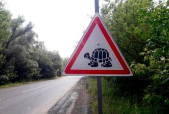 Водители, внимание. В Украине появились новые дорожные знаки. Как выглядят
