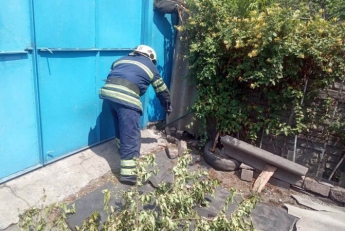 На Днепропетровщине змея заползла во двор частного дома: фото