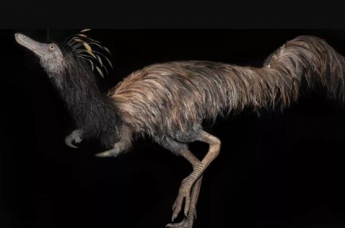 Ученые обнаружили останки динозавра, жившего 66 млн лет назад - его внешность поразила всех