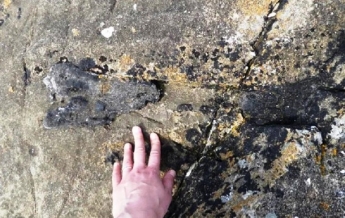 Шотландка во время пробежки нашла кость динозавра (фото)