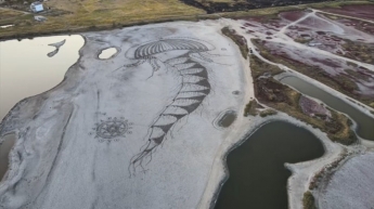В Бердянске на песке появилась многометровая медуза (видео)