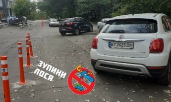 В Киеве "герои парковки" наплевали на ограничения и разозлили сеть: фото