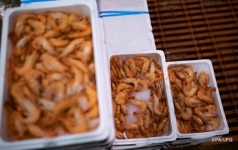 В Сингапуре начнут продавать искусственные креветки