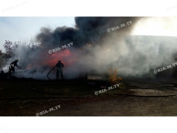 Неудачно трассу для картинга сделали - стало известно с чего пожар в Мелитополе начался (видео)