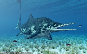В Британии случайно нашли останки "морского дракона", жившего 150 млн лет назад: фото