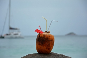 Короли выпивки – чем туристку из Мелитополя удивила новогодняя традиция на Сейшелах