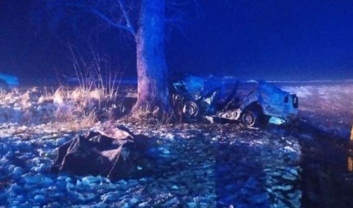 В Житомирской области автомобиль врезался в дерево и загорелся: есть жертвы